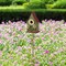 Set of 2 52.5''H Green Metal Daisy Decorative Garden Birdhouse with Stake